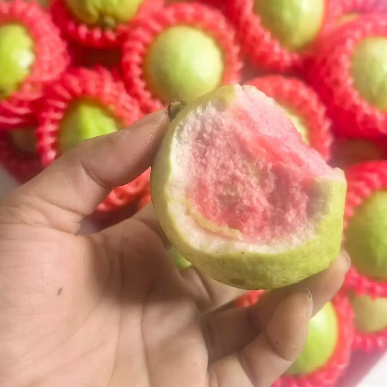 潮汕红心奶油脆甜芭乐当季新鲜低糖低卡软糯香甜番石榴水果西瓜红