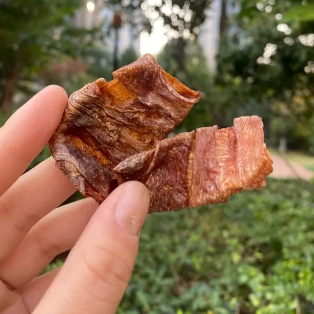 宠物一大口鸭梨无