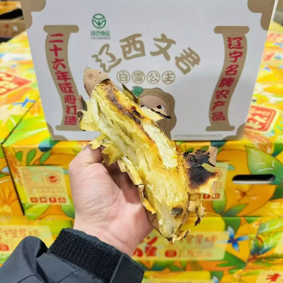 辽西文君地瓜4斤