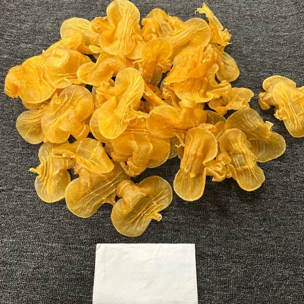 得好滋补 石肚赤嘴公鱼胶花胶 干货深海滋补品现挑现称
