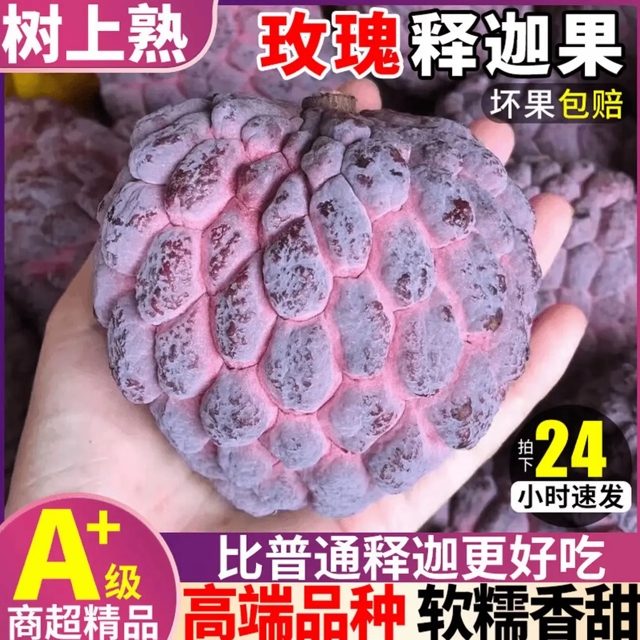 云南玫瑰释迦果紫红佛头果香甜软糯番荔枝新鲜热带水果