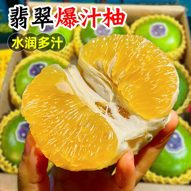 【顺丰次日达】5斤福建翡翠柚青皮葡萄柚爆汁纯甜孕妇水果老树摘树上熟绿宝石青柚葡萄柚柚子福建省