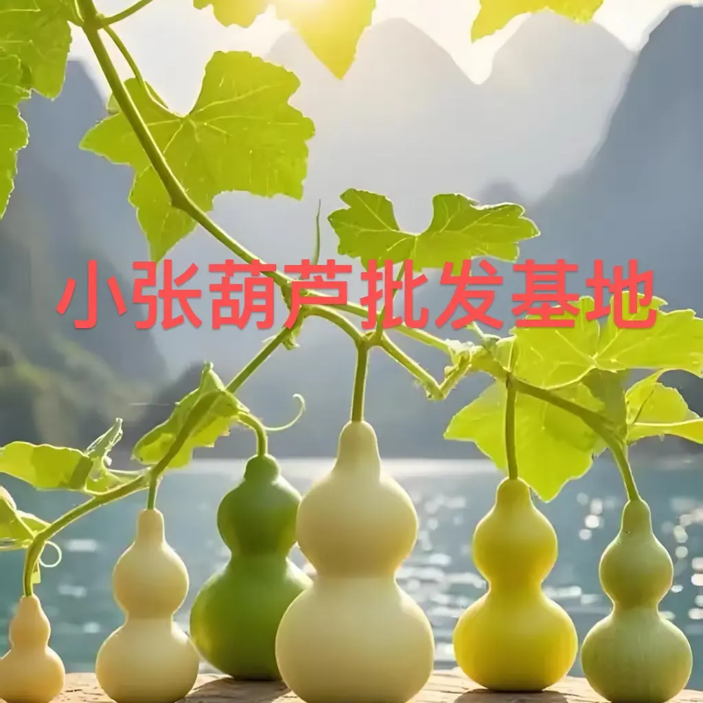 天然葫芦文玩摆件