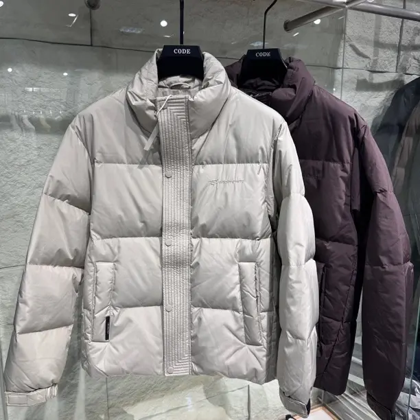 纯色立领保暖时尚潮流男士贴布绣百搭短款秋冬羽绒服