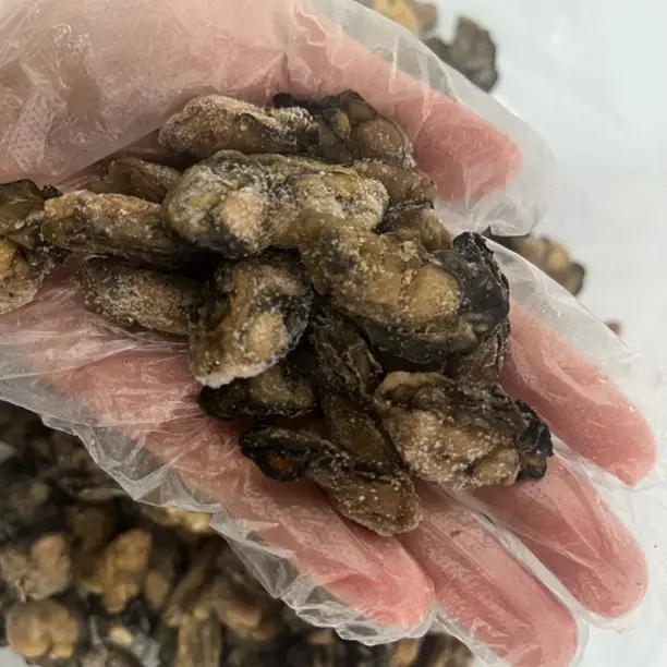 淡晒生蚝干海产干货可煲汤煮粥