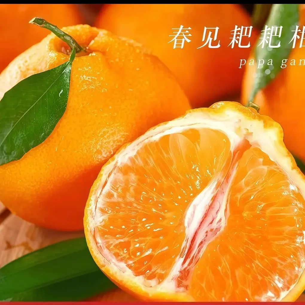 春见耙耙柑四川丑橘当季新鲜采摘水果鲜嫩多汁产地直发