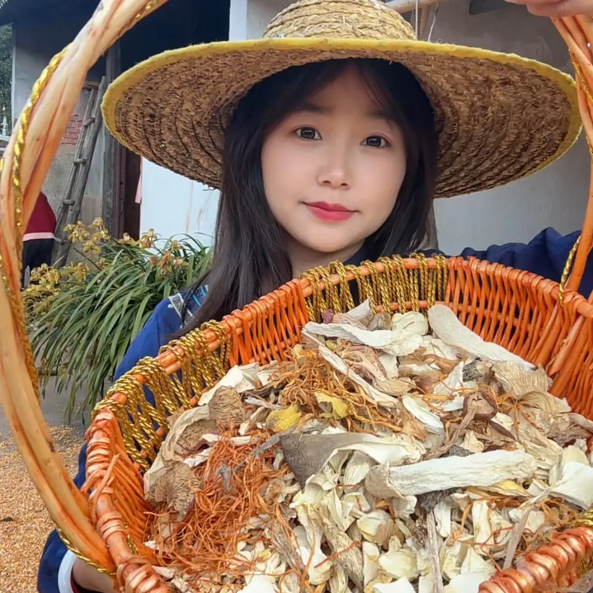 云南羊肚菌鹿茸菇香菇干货煲汤食材菌菇组合特产