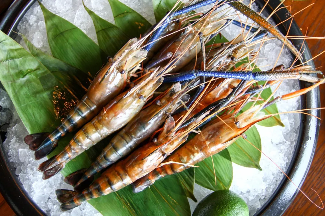 罗氏虾--顺丰发货/保鲜不保活