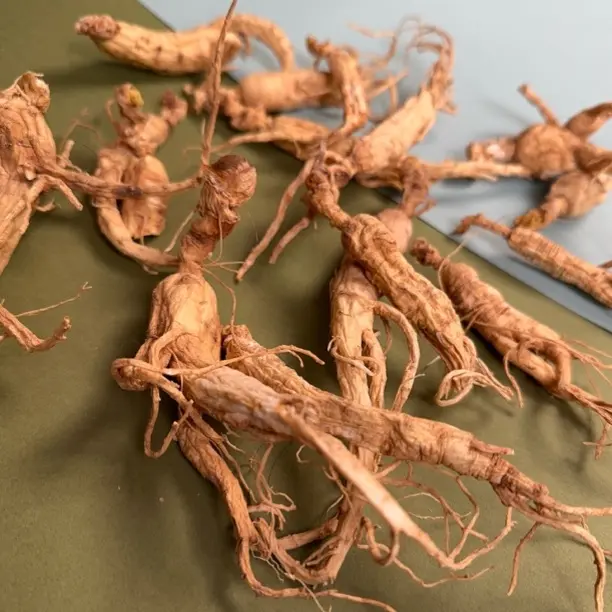 信誉保真 长白山高年份林下山参粉 超微细粉 无添加 支持7天试吃