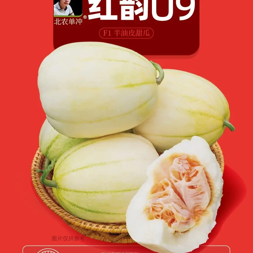 【红韵U9】红瓤甜瓜种子，薄皮、水、脆、甜香、不面、还抢早熟，2袋包邮