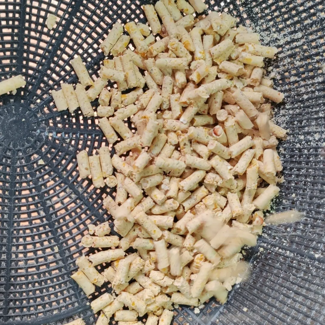 含玉米豌豆的营养鸽子粮适合赛鸽信鸽幼鸽成鸽食用