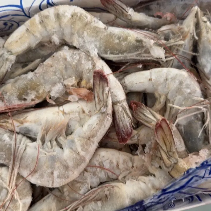 20-30规格海水大虾，净重约3斤，新鲜无冰海虾