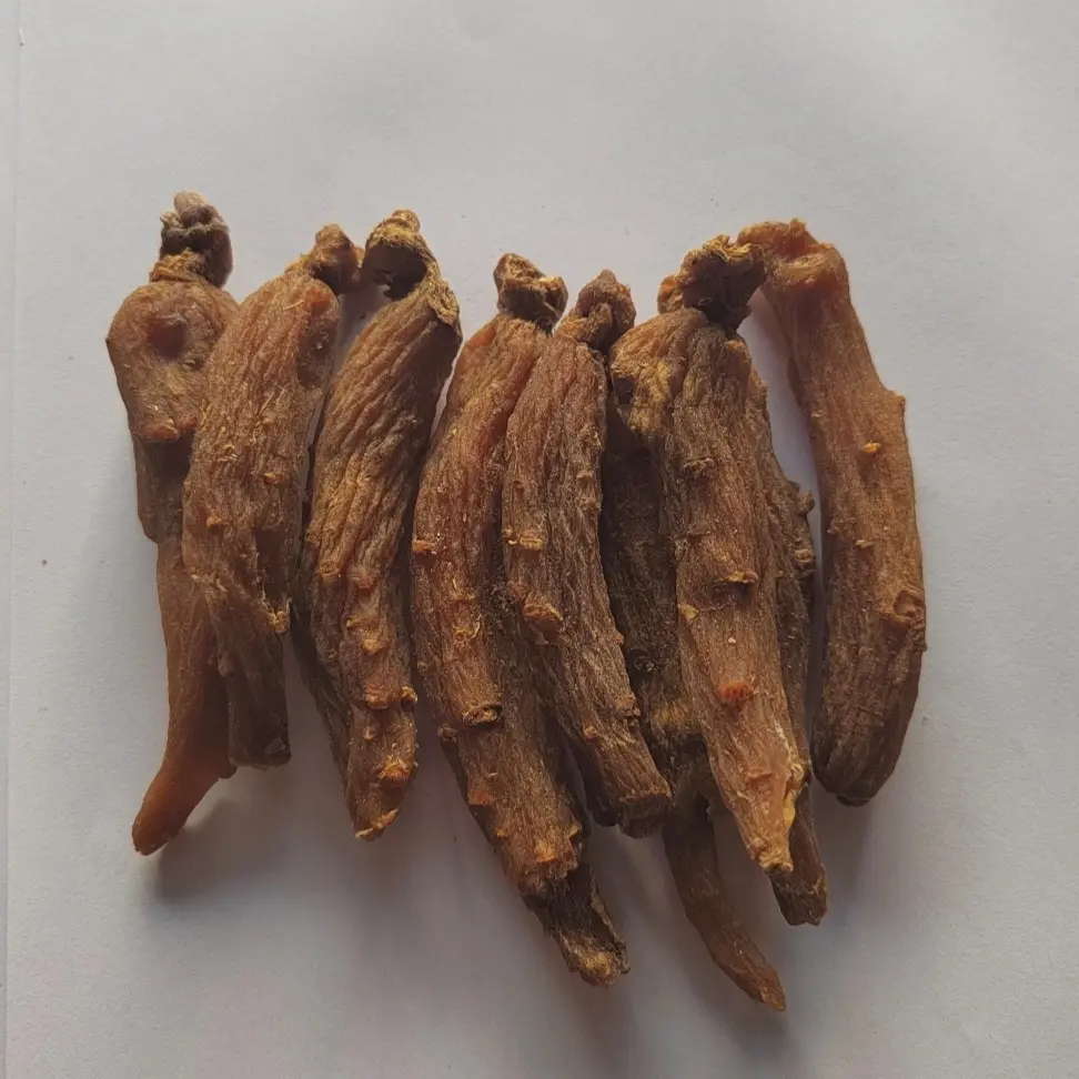 （大号）正宗东北长白山红参条整根可切片打粉泡茶炖汤滋补