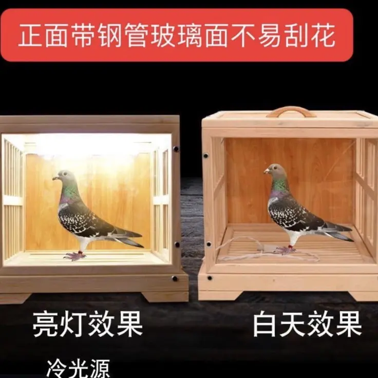 鸽子实木展示笼带照明功能