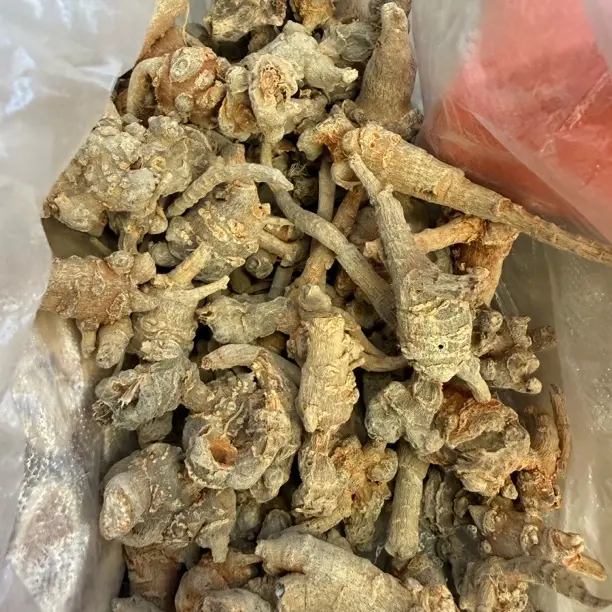 云南高山高海拔三七