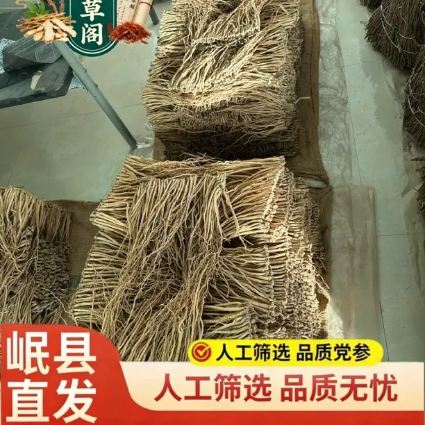 岷源本草阁【25年党参干货】甘肃岷县白条党参自然馈赠煲汤滋补首选