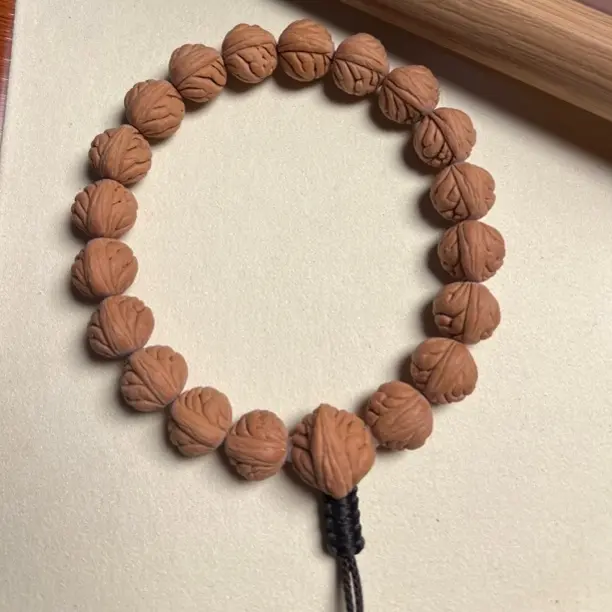 爆肉疙瘩龙，小尺寸