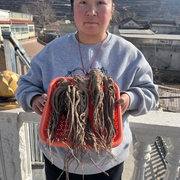 甘肃岷县原产地精选整条干当归滋补养生