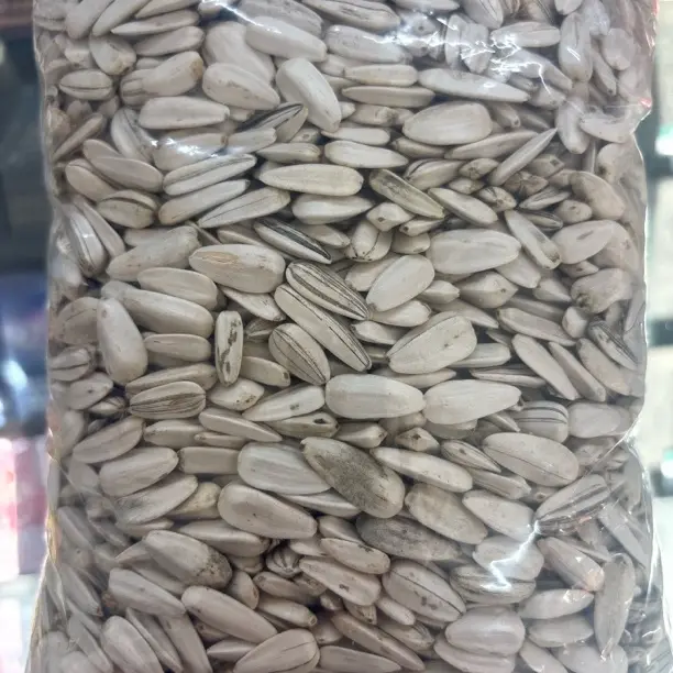 新鲜吉林地产小白油瓜子