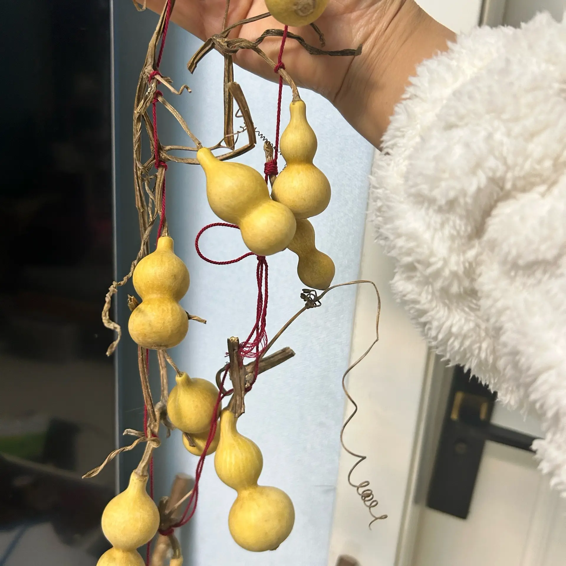 直播间天然小葫芦19.8链接请备注数字