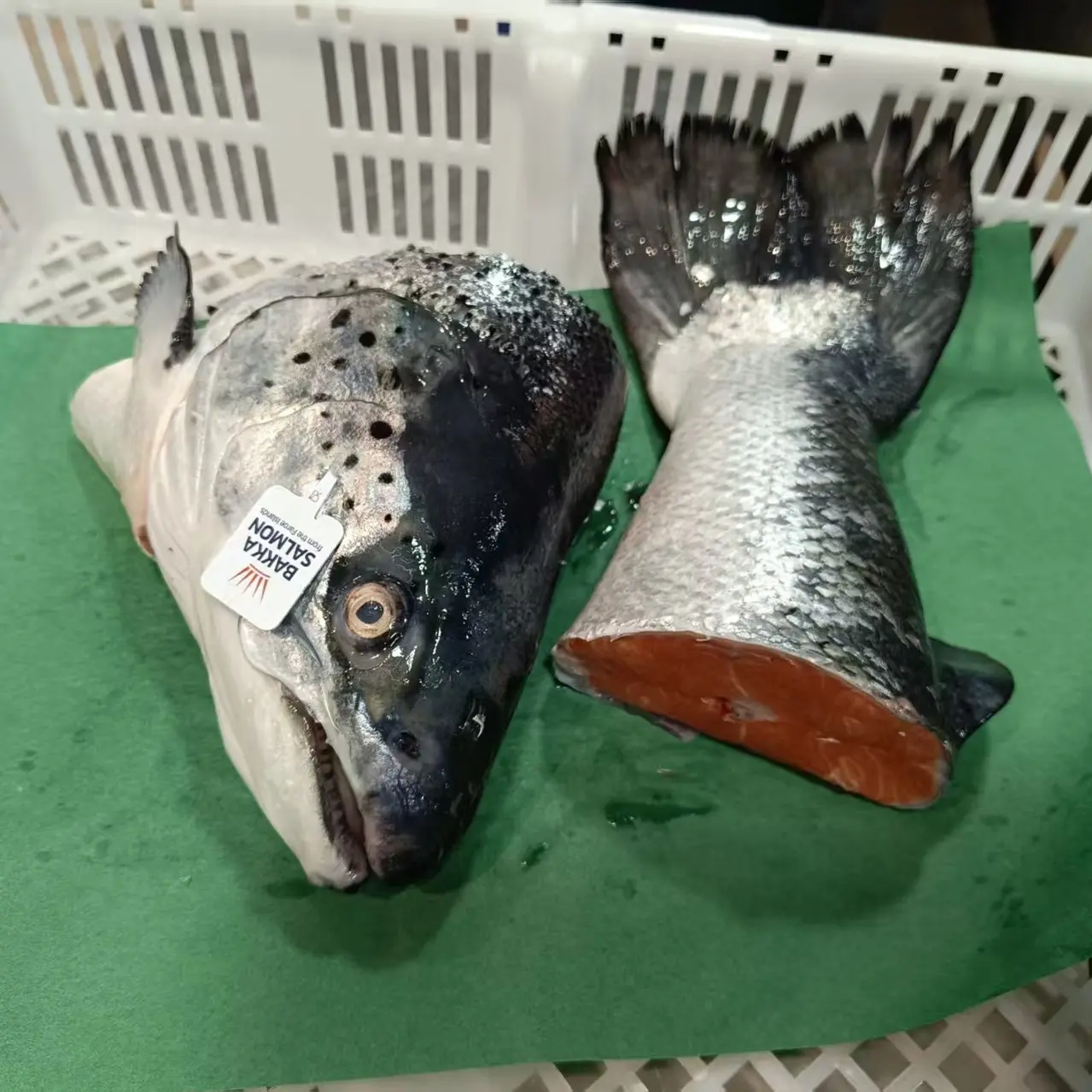 新鲜三文鱼鱼头鱼尾组合急冻发货可煲汤烧烤食材