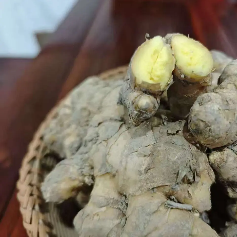 蓬瀛高山小黄姜新鲜生姜香气浓郁