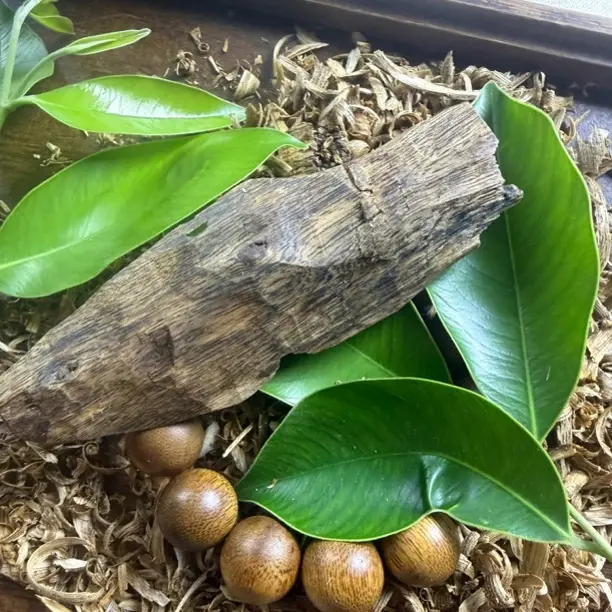 沉香K56沉香16yuan原料花蜜香甜凉40克➕沉香碎屑