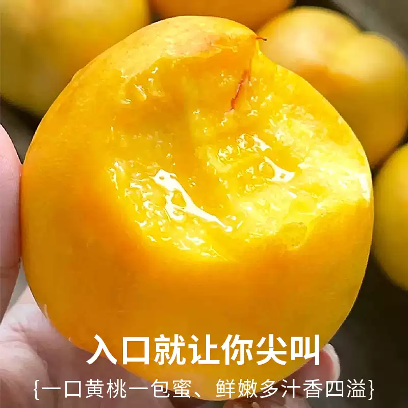 【6月上新特惠】黄金蜜1号黄桃5斤装【次日达】当季新鲜水果桃子湖北省