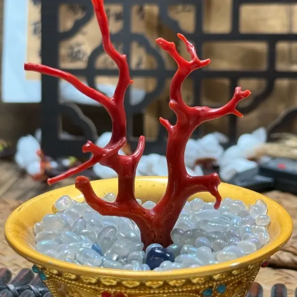 天然沙丁红珊瑚树形摆件 红珊瑚树形摆件