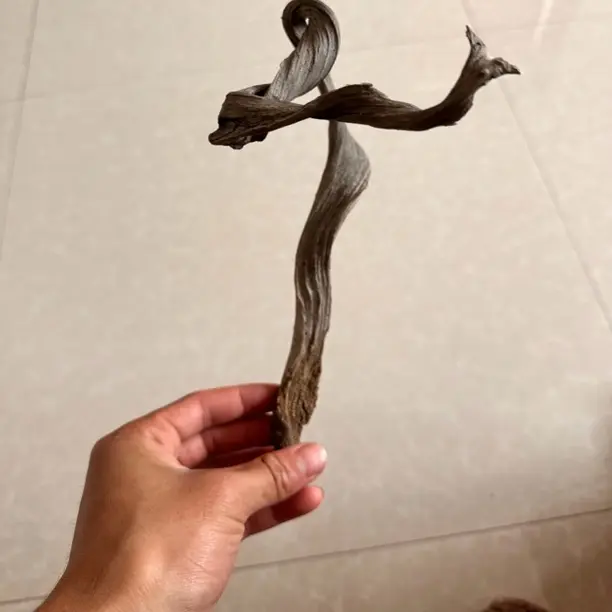 太行崖柏毛料精品高端文玩摆件