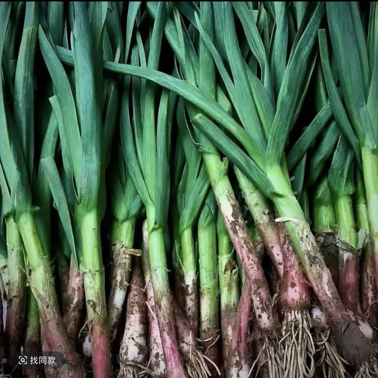 江西余干特产农家土生土长的有点微黄正常新品上市