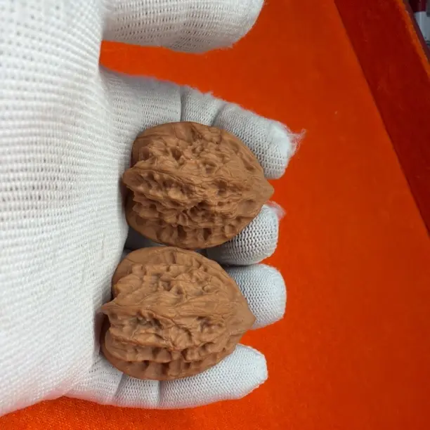 原生树水泉沟公子帽GZ373843T