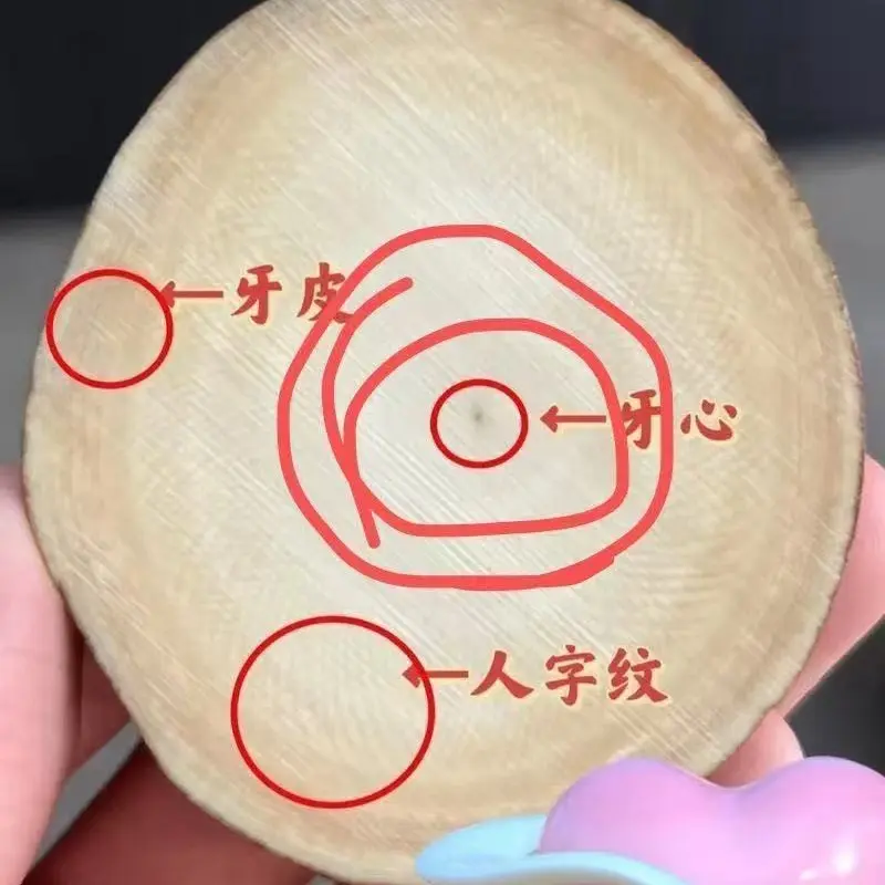 【直播间专属改价链接】一物一拍天然猛犸牙专拍链接