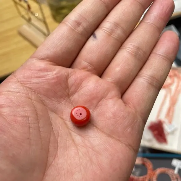 天然珊瑚天然沙丁1000
