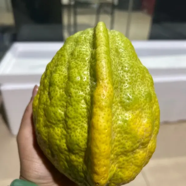 香橼邮费专用链接