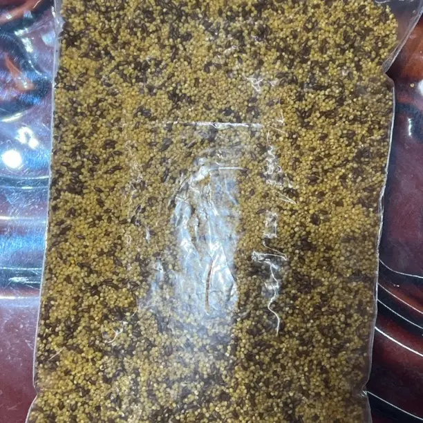 广西小破碎升级版黑金泡泡球滑鱼克星狂打不会碎