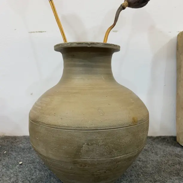 水培花器典雅美观大方