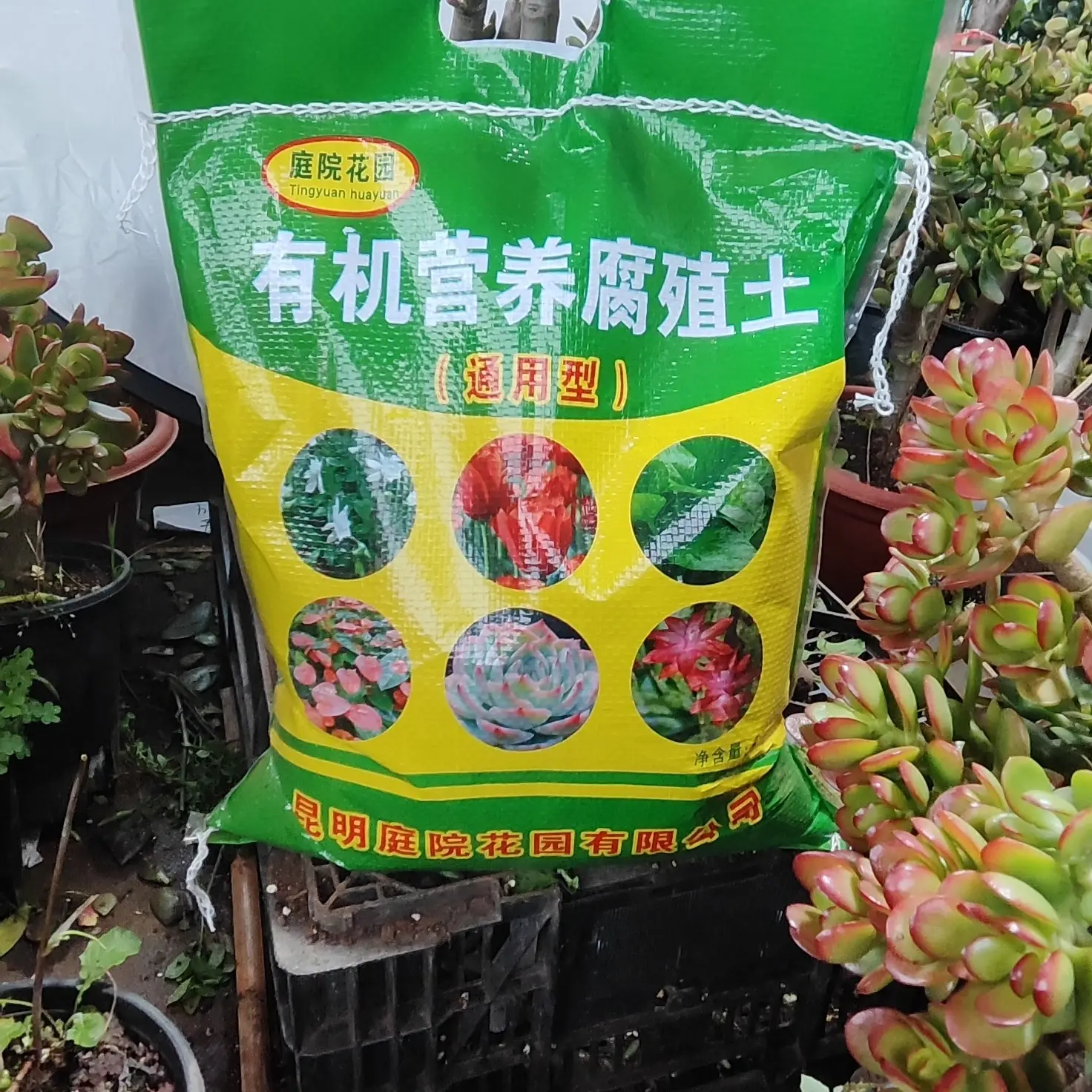 撒施型颗粒用于瓜果蔬菜农作物