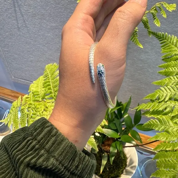 足银手镯  灵蛇女款实心国风简约百搭银镯子生日礼物送女友
