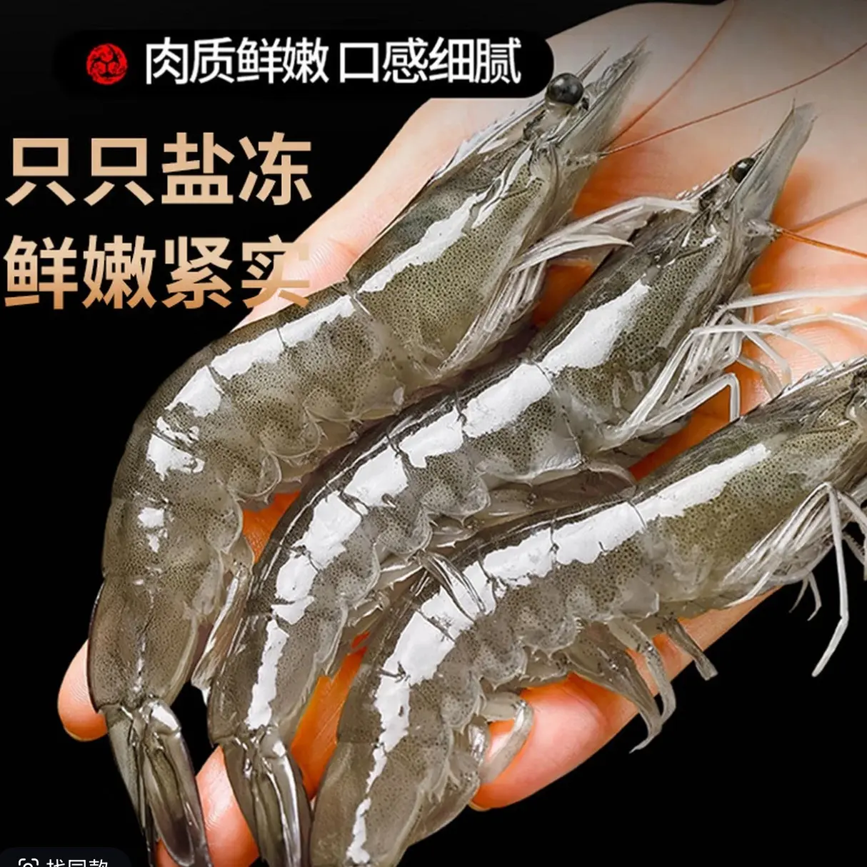大号海虾15-18厘米左右活虾速冻锁鲜顺丰冷链发货
