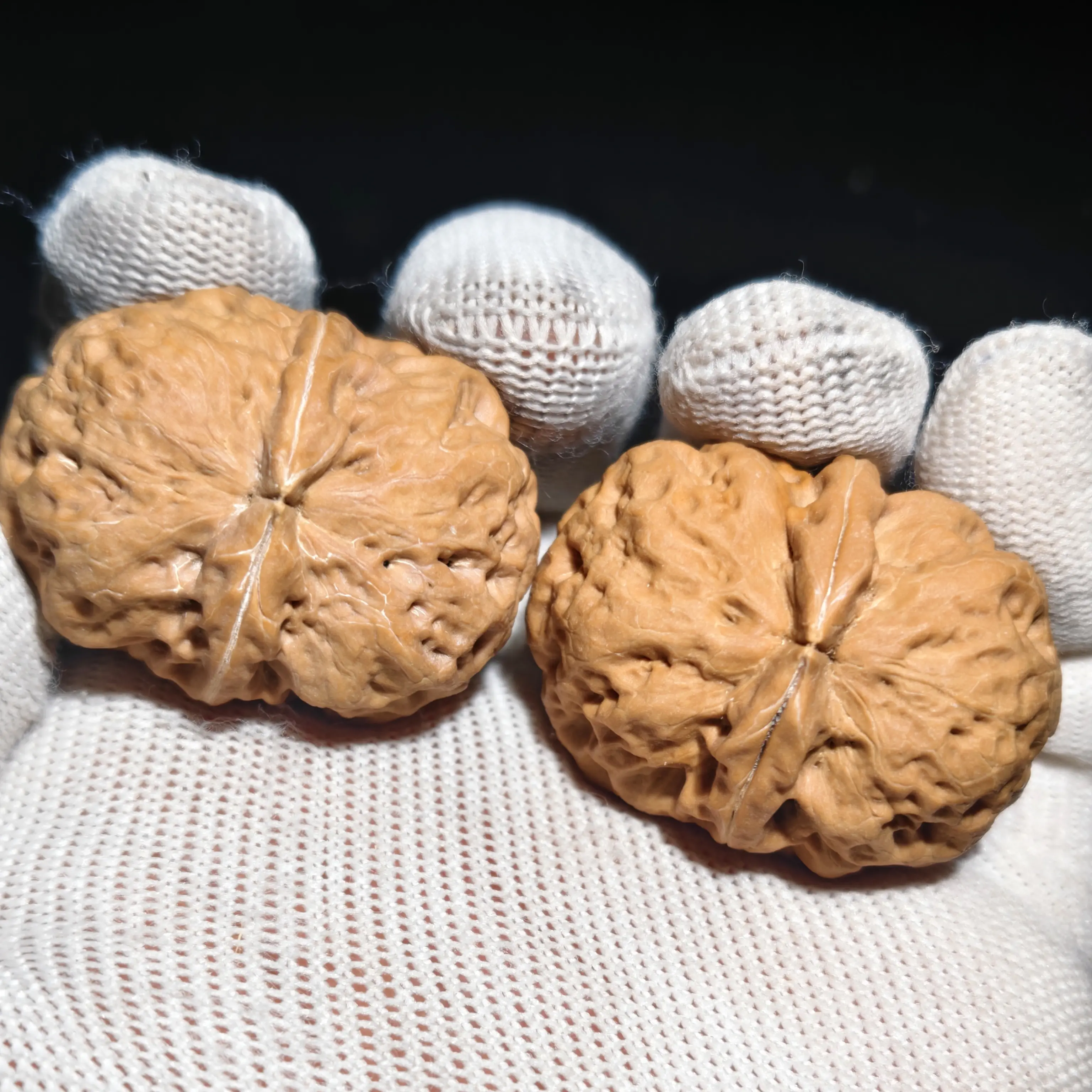 野生铁核桃41尺一物一图全品无修059