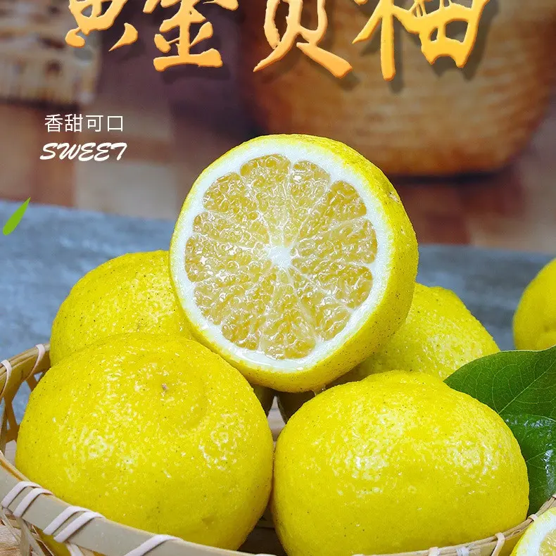 湖南怀化贡柚春香桔柚象山青纯甜新鲜贡柚当季水果产地直发