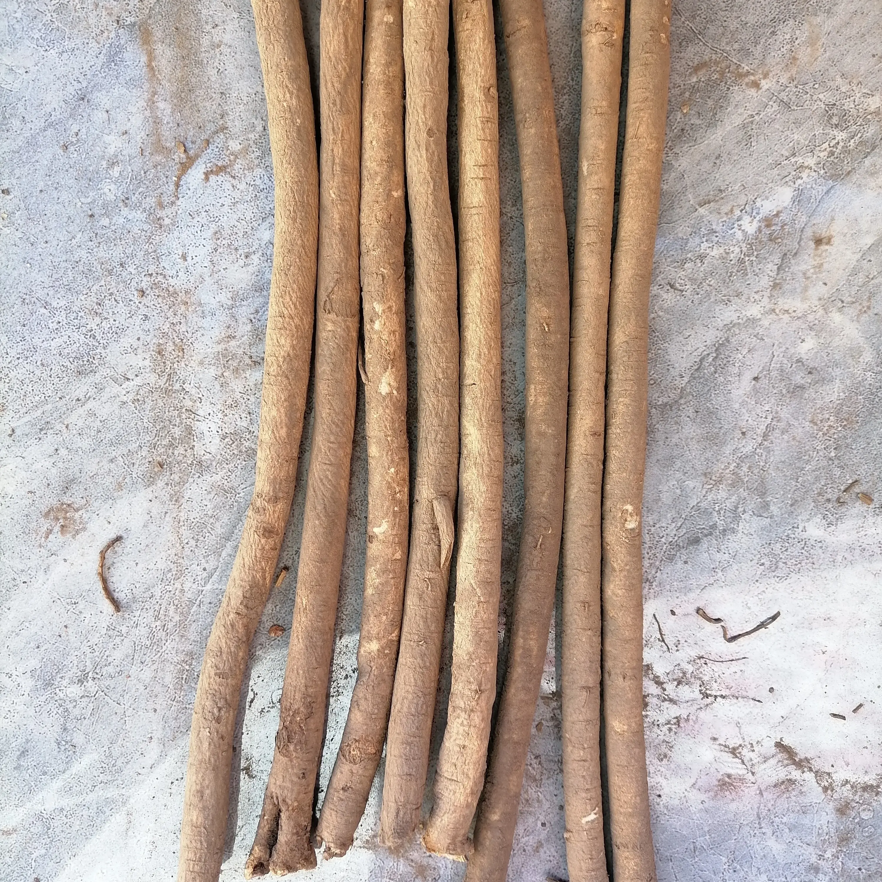 甘肃原产地黄芪半干主杆