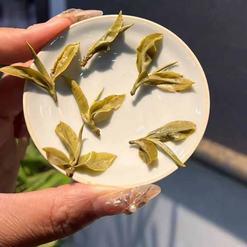 猫耳朵(倚邦曼拱)16克散茶  稀有品