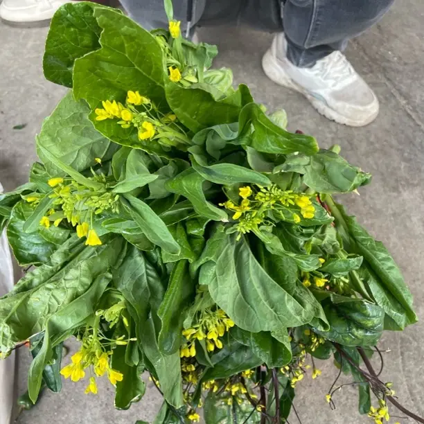 赶集生鲜连接（生鲜不支持退款，介意勿拍）