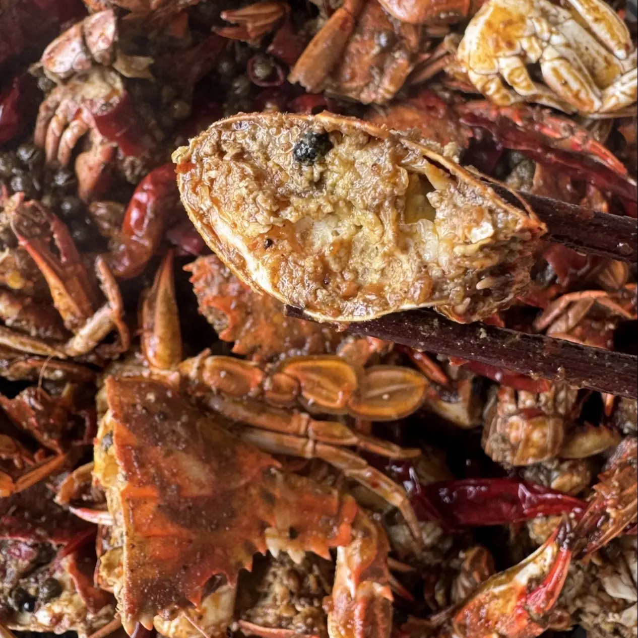 新鲜野生海捕花盖青蟹顺丰发货（不包活有掉腿）