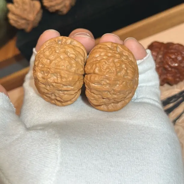 43全品网红南瓜墩