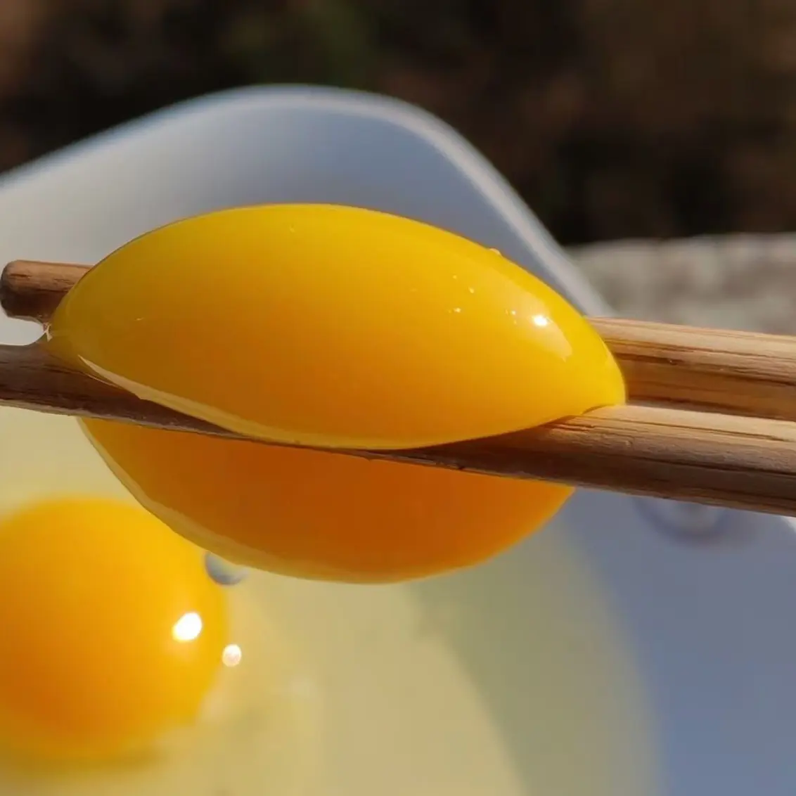 新鲜农家散养土鸡蛋营养健康谷物喂养