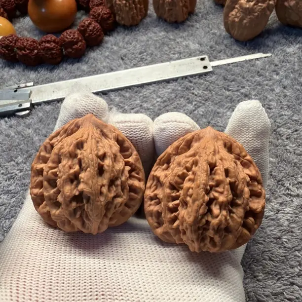 超级无敌精对虎头，山地老树无药果