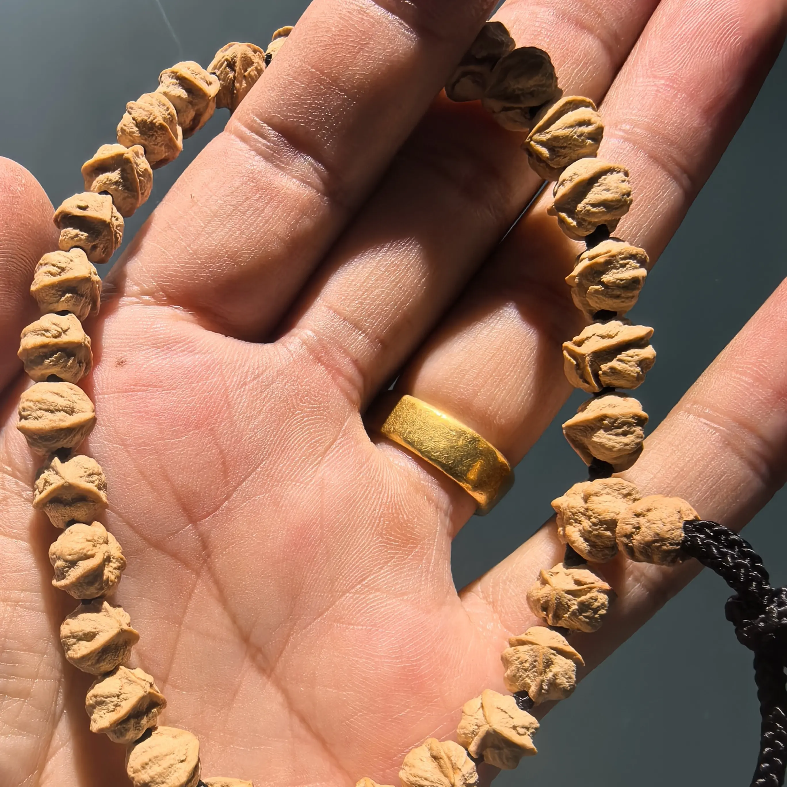 百香籽龙脊三奔小单圈